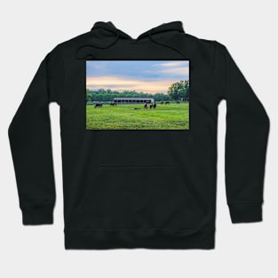 Horses at Twilight Hoodie